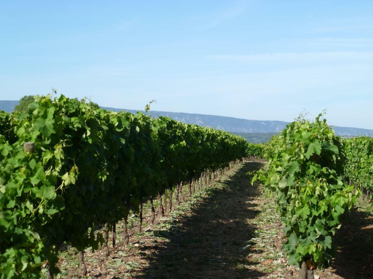 Luberon & Lavandes Roussillon en Isere Exteriér fotografie