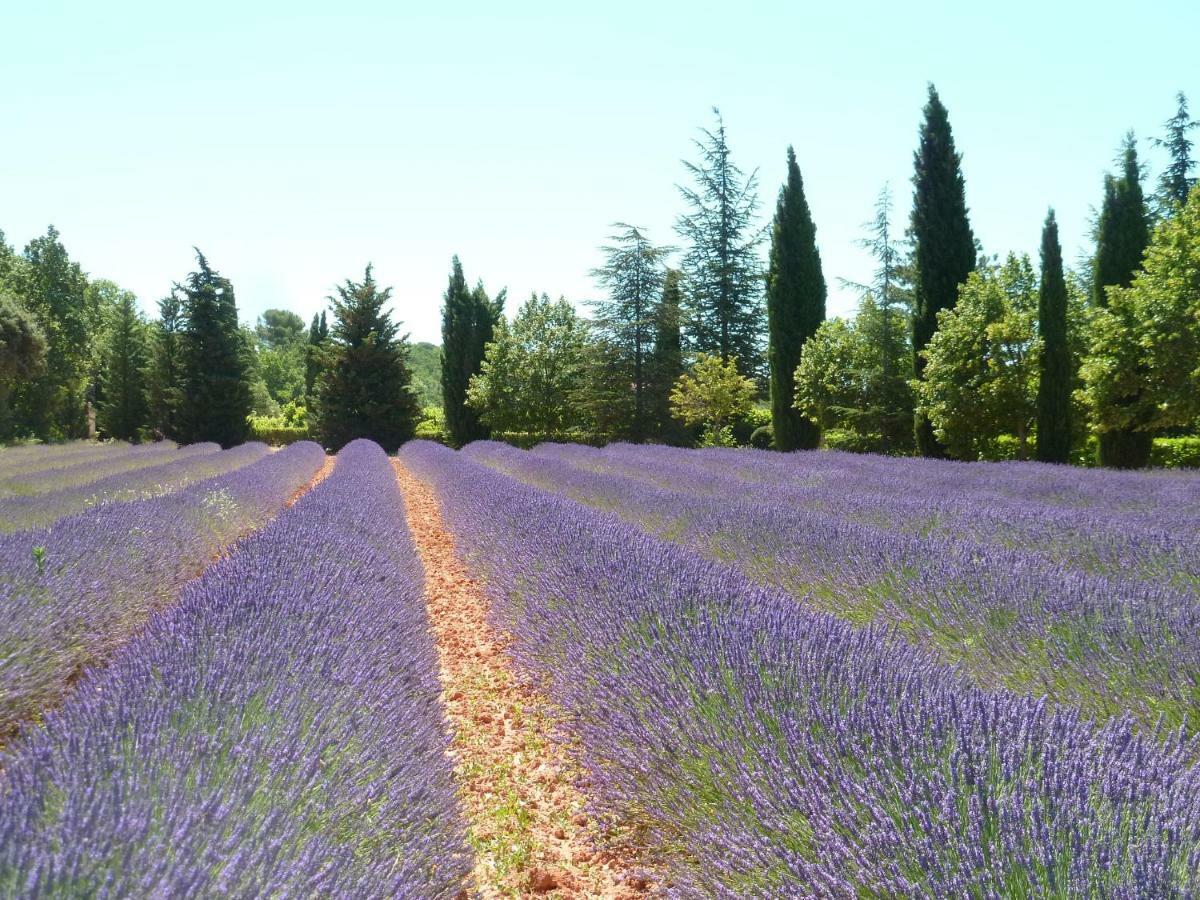Luberon & Lavandes Roussillon en Isere Exteriér fotografie